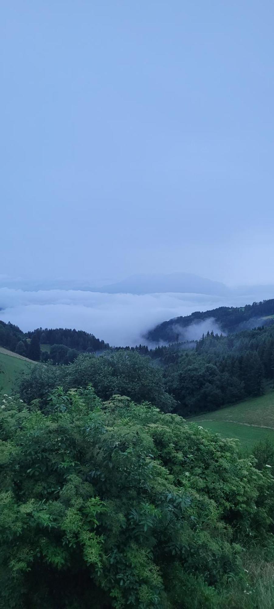 Gasthof Machwirth Griffen Екстер'єр фото